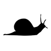 Snail ｜ Shell-Icon ｜ Illustration ｜ Free material ｜ Transparent background