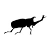 Beetle ｜ Insects ｜ Icon ｜ Illustration ｜ Free material ｜ Transparent background