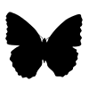 Butterfly ｜ Butterfly-Icon ｜ Illustration ｜ Free material ｜ Transparent background