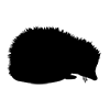 Hedgehog ｜ Needle ｜ Icon ｜ Illustration ｜ Free material ｜ Transparent background