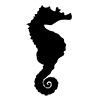 Seahorse ｜ Dragon Spawn --Icon ｜ Illustration ｜ Free Material ｜ Transparent Background