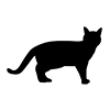 Cat ｜ Cat ｜ Icon ｜ Illustration ｜ Free material ｜ Transparent background