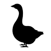 Duck ｜ House duck ――Icon ｜ Illustration ｜ Free material ｜ Transparent background