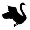 Swan ｜ Hakucho --Icon ｜ Illustration ｜ Free material ｜ Transparent background