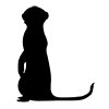 Meerkat-Icon ｜ Illustration ｜ Free Material ｜ Transparent Background