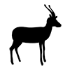 Deer ｜ Deer ｜ Icon ｜ Illustration ｜ Free material ｜ Transparent background