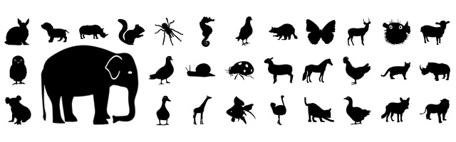 Elephant / Giraffe / Hippopotamus / Raccoon / Swan / Bird / Pigeon / Raccoon / Hawk / Flamingo / Duck / Animal / Mammal / Amphibian / Bird / Fish / Animal / Reptile / Shell / Insect / Beetle / Spider / Ali / Owl / Cat / Dog / Wolf / Tanuki / Raccoon / Goldfish